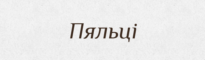 Пяльці — Великий тлумачний словник сучасної української мови