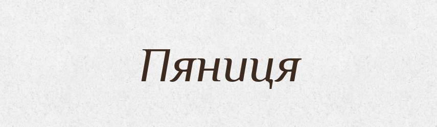 Пяниця — Великий тлумачний словник сучасної української мови