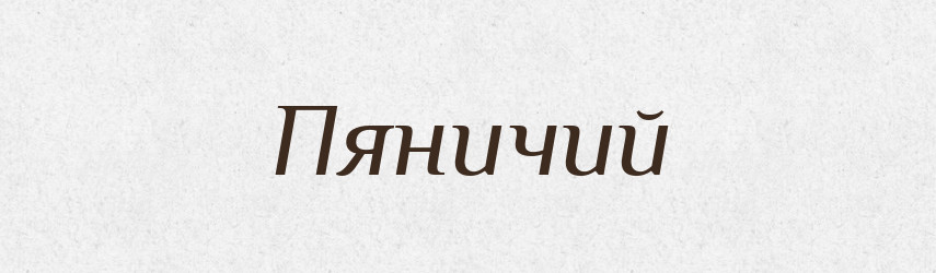 Пяничий — Великий тлумачний словник сучасної української мови