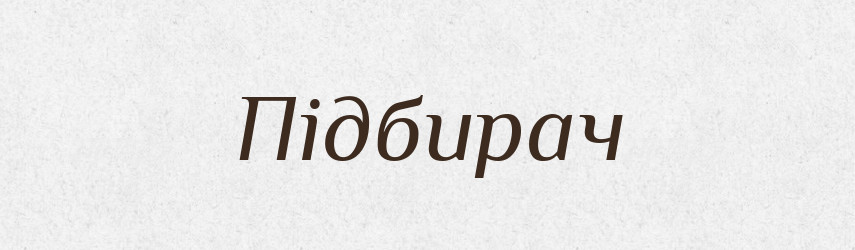 Підбирач — Великий тлумачний словник сучасної української мови