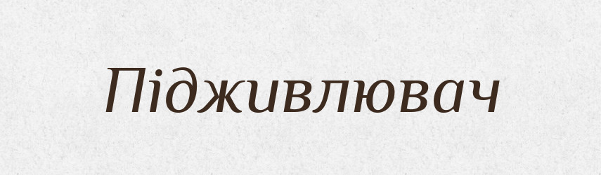 Підживлювач — Великий тлумачний словник сучасної української мови