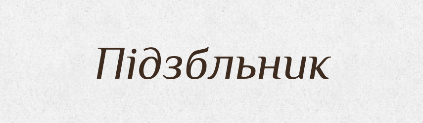 Підзбльник — Великий тлумачний словник сучасної української мови
