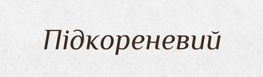 Підкореневий — Великий тлумачний словник сучасної української мови