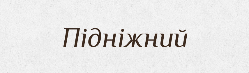 Підніжний — Великий тлумачний словник сучасної української мови