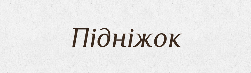 Підніжок — Великий тлумачний словник сучасної української мови