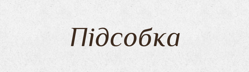 Підсобка — Великий тлумачний словник сучасної української мови