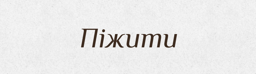 Піжити — Великий тлумачний словник сучасної української мови
