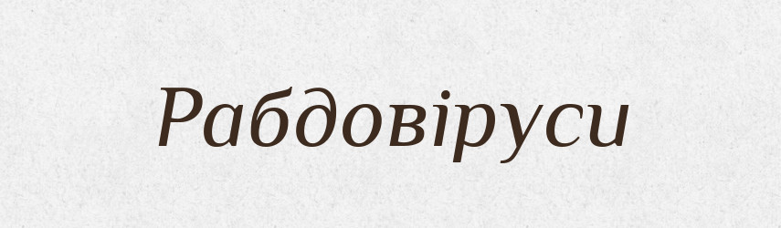 Рабдовіруси — Великий тлумачний словник сучасної української мови