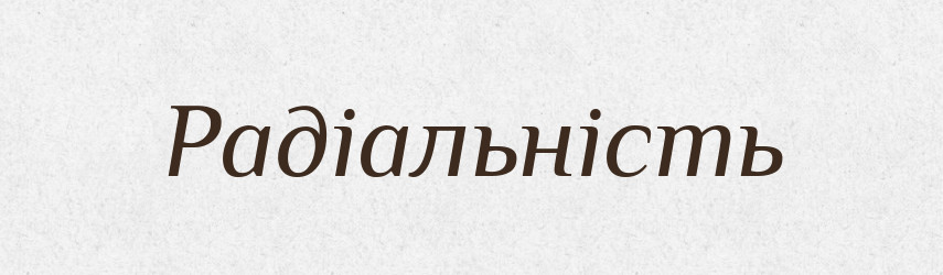Радіальність — Великий тлумачний словник сучасної української мови