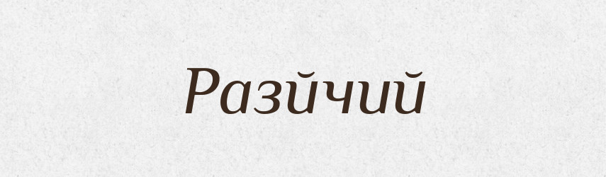 Разйчий — Великий тлумачний словник сучасної української мови