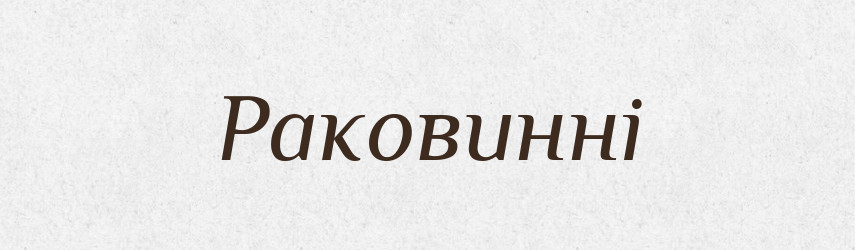 Раковинні — Великий тлумачний словник сучасної української мови