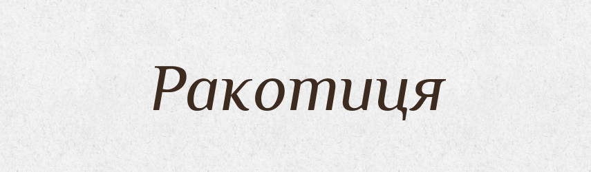 Ракотиця — Великий тлумачний словник сучасної української мови