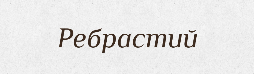Ребрастий — Великий тлумачний словник сучасної української мови