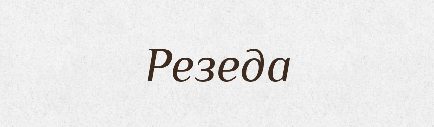 Резеда — Великий тлумачний словник сучасної української мови