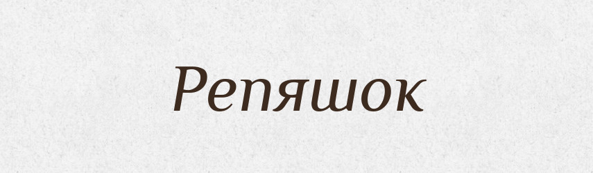 Репяшок — Великий тлумачний словник сучасної української мови
