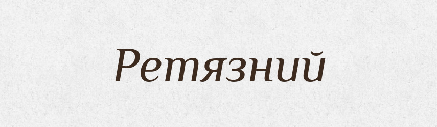 Ретязний — Великий тлумачний словник сучасної української мови