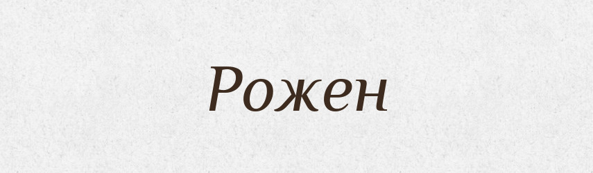 Рожен — Великий тлумачний словник сучасної української мови