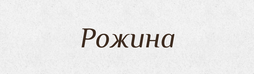 Рожина — Великий тлумачний словник сучасної української мови