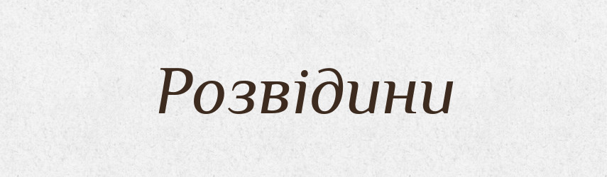 Розвідини — Великий тлумачний словник сучасної української мови