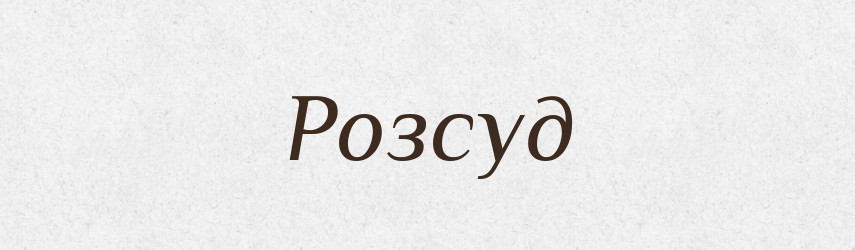 Розсуд — Великий тлумачний словник сучасної української мови