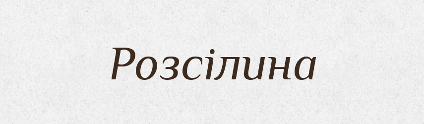 Розсілина — Великий тлумачний словник сучасної української мови