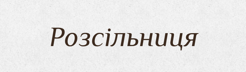 Розсільниця — Великий тлумачний словник сучасної української мови
