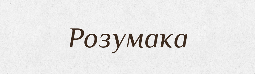 Розумака — Великий тлумачний словник сучасної української мови