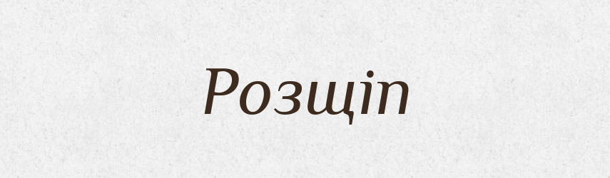 Розщіп — Великий тлумачний словник сучасної української мови