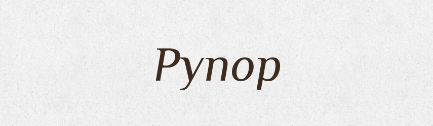 Рупор — Великий тлумачний словник сучасної української мови