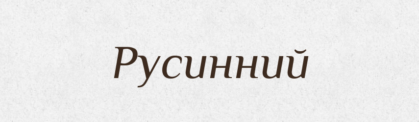 Русинний — Великий тлумачний словник сучасної української мови