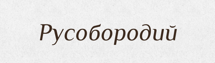 Русобородий — Великий тлумачний словник сучасної української мови