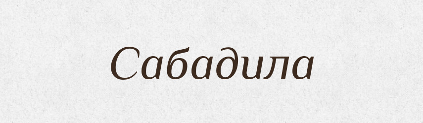 Сабадила — Великий тлумачний словник сучасної української мови