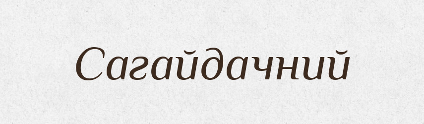 Сагайдачний — Великий тлумачний словник сучасної української мови
