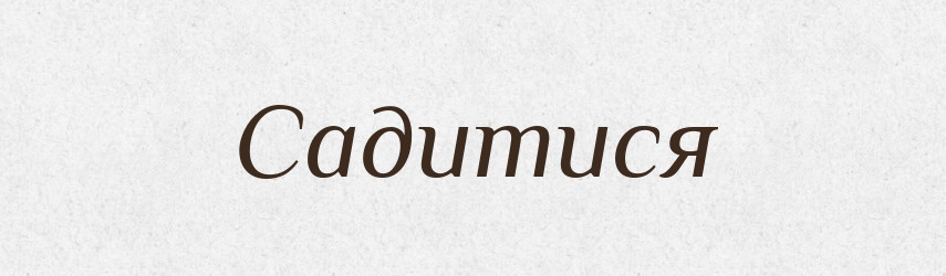 Садитися — Великий тлумачний словник сучасної української мови