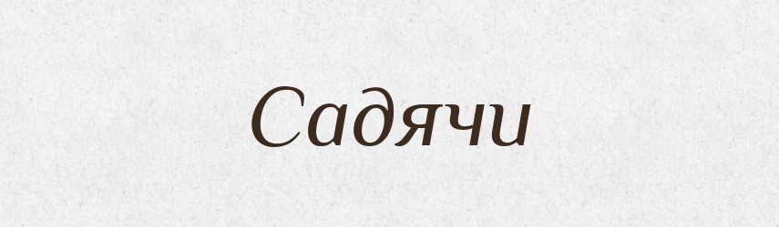 Садячи — Великий тлумачний словник сучасної української мови