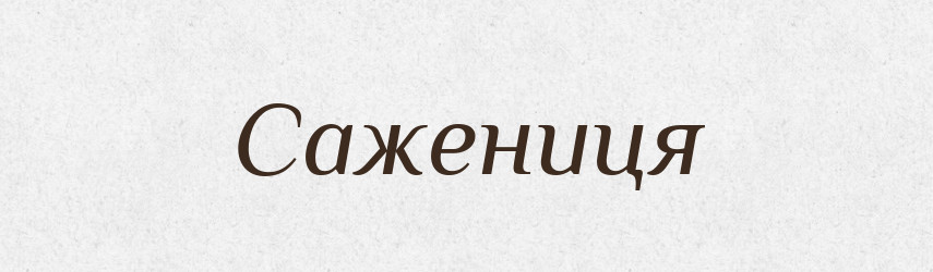 Сажениця — Великий тлумачний словник сучасної української мови