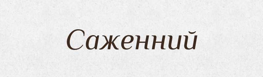 Саженний — Великий тлумачний словник сучасної української мови