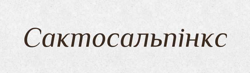 Сактосальпінкс — Великий тлумачний словник сучасної української мови