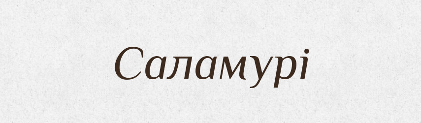 Саламурі — Великий тлумачний словник сучасної української мови