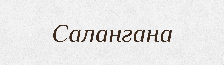 Салангана — Великий тлумачний словник сучасної української мови