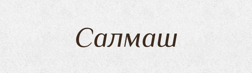 Салмаш — Великий тлумачний словник сучасної української мови