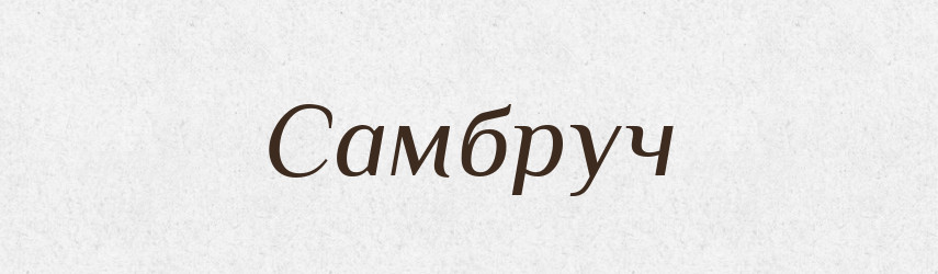 Самбруч — Великий тлумачний словник сучасної української мови