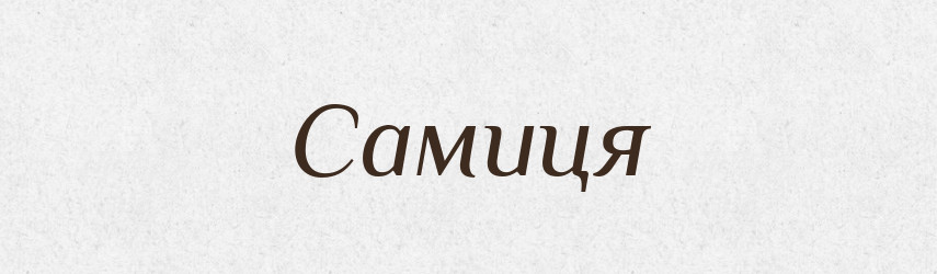 Самиця — Великий тлумачний словник сучасної української мови