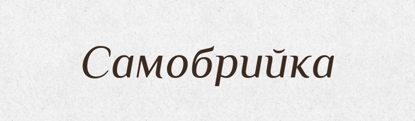 Самобрийка — Великий тлумачний словник сучасної української мови