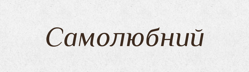 Самолюбний — Великий тлумачний словник сучасної української мови