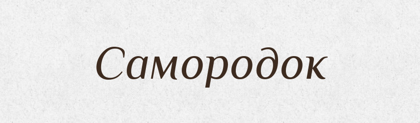 Самородок — Великий тлумачний словник сучасної української мови