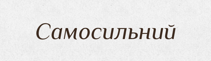 Самосильний — Великий тлумачний словник сучасної української мови