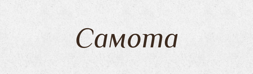Самота — Великий тлумачний словник сучасної української мови