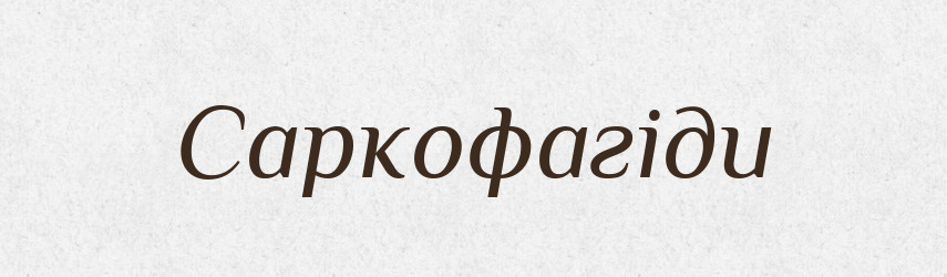Саркофагіди — Великий тлумачний словник сучасної української мови