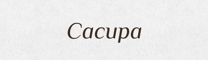 Сасира — Великий тлумачний словник сучасної української мови
